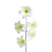 Artikel Lily on wire medium 25 stk