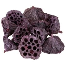 Artikel Lotus kapsler, tør blomster, lotus pære pink, hvidvasket 50 stk.