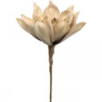Lotusblomst, lotusblomst dekoration, kunstig plante beige L66cm