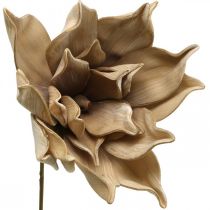 Lotusblomst, lotusblomst dekoration, kunstig plante beige L66cm