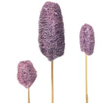 Artikel Luffa på stilk små tørrede dekorative bær 5-12 cm 25 stk