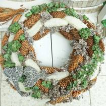 Artikel Luffa stor bleget 20 stk