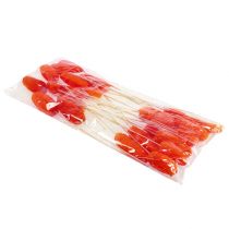 Artikel Luffa stor på pind appelsin 25 stk