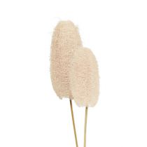 Artikel Lille loofah på pind bleget 25 stk