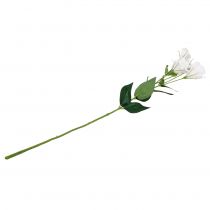 Artikel Lysianthus kunstig blomst hvid L87,5cm