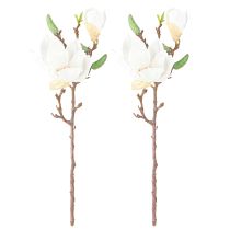 Artikel Magnolia Hvide Kunstige Blomsterknopper Dekorationsgren H40cm 2stk