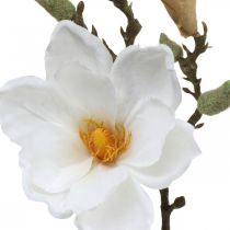 Magnolia hvid kunstig blomst med knopper på deco gren H40cm