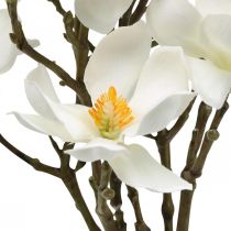 Artikel Kunstige magnoliagrene hvid deco gren H40cm 4 stk i bundt