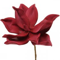 Artikel Kunstig magnolia rød kunstig blomsterskum blomsterdekoration Ø10cm 6 stk