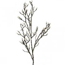 Kunstig Magnolia-gren Forårsdekorationsgren med knopper Brun Hvid L135cm