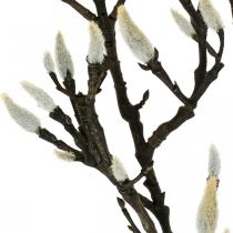 Kunstig Magnolia-gren Forårsdekorationsgren med knopper Brun Hvid L135cm