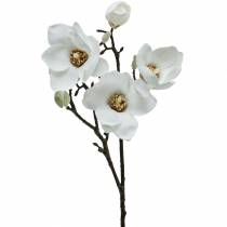 Artikel Magnolia gren hvid Dekorativ gren magnolia kunstig blomst