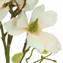 Artikel Magnolia Peach 85 cm