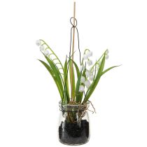 Artikel Liljekonval i glas Artificial Early Bloomers H22cm 3stk