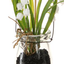 Artikel Liljekonval i glas Artificial Early Bloomers H22cm 3stk