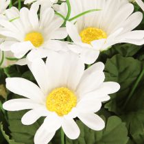 Artikel Daisy buket hvid 45cm