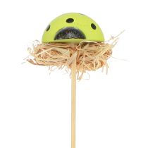 Artikel Mariehøne dekorative blomsterpropper træfarvet 3,5cm 24 stk