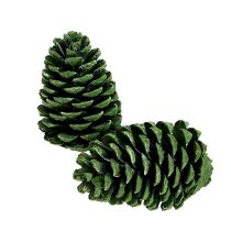 Artikel Maritima kogler 10cm - 16cm grøn frostet 12 stk
