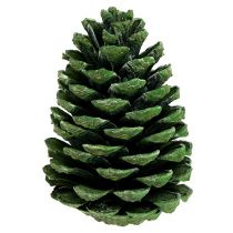 Artikel Maritima kogler 10cm - 16cm grøn frostet 12 stk