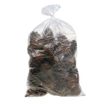 Artikel Maritima kogler 14/18 natur 25 stk