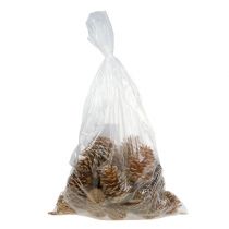 Artikel Maritima vafler creme-vanilje blandet 5-18 cm 25 stk.