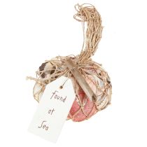Artikel Maritime dekorative skaller blandes i nettet farverige 3,5-6cm 300g × 3stk