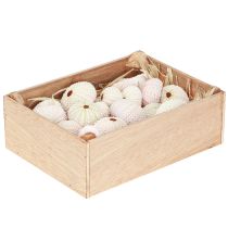 Artikel Maritim dekoration søpindsvin skal pink, hvid scatter dekoration 20 stk