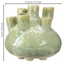 Artikel Maritim Dekorationsvase Coral Design Lysegrøn Ø14,5cm H14cm