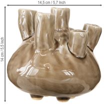 Artikel Maritim Vase Dekoration Coral Design Brun Ø14,5cm H14cm