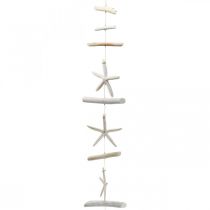Drivtømmer Garland Skaller Søstjernedekoration Maritime 100cm