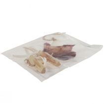 Artikel Maritim dekorativ bøjleskal søstjerne Ø10–12cm 40cm