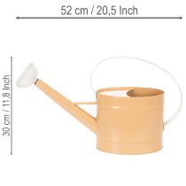 Artikel Metal dekorativ vandkande, vintage look, lysebrun, 52,5 cm - plantekasse til borddekoration og sommerdekoration