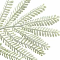 Artikel Dekorativ gren mimosa grøn frosteffekt 63cm