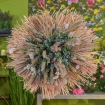 Artikel Mini palmespyd, tør blomsterdekoration, adventsdekoration, mindedage natur L33–34cm B7–9cm 4 stk.
