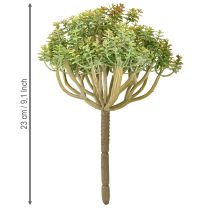 Artikel Mini sukkulent kunstig grøn kunstig plante med stilk H23cm