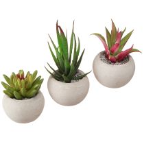 Artikel Mini sukkulenter i potte Kunstige planter Dekoration Ø6,5cm 6stk