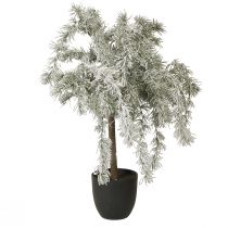 Artikel Mini juletræ Potted Ceder Sne Kunstig H60cm