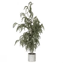 Artikel Mini juletræ i potte med sne om vinteren 45x110cm