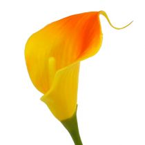 Artikel Mini calla kunstgul 28cm 12 stk