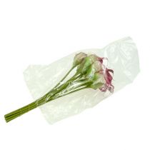 Artikel Mini calla kunstig 28cm Erika, creme 12 stk