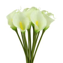 Artikel Mini calla kunsthvid L 28cm 12 stk