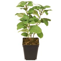 Artikel Mint in Pot Kunstige Urter Grøn Plante H24cm
