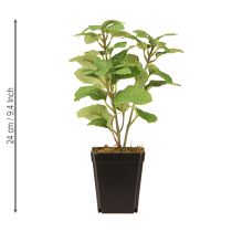 Artikel Mint in Pot Kunstige Urter Grøn Plante H24cm