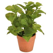 Artikel Mynte i potte Kunstige Urter Kunstige Planter 18cm 2stk