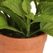 Artikel Mynte i potte Kunstige Urter Kunstige Planter 18cm 2stk