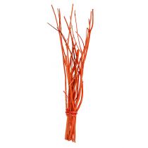 Mitsumata grene orange 34-60cm 12stk