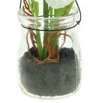 Artikel Valmue i et glas til at hænge hvid H22cm