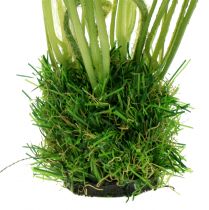 Artikel Valmue hvid i græsset 23cm