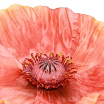 Artikel Valmue Kunstig Kunstig Blomst i Orange Ø13cm 84cm