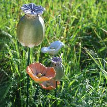 Artikel Dekorativ valmuepæl til sæsonbestemt haveelegance eller altanfremhævelse, 41 cm, 4 stk.